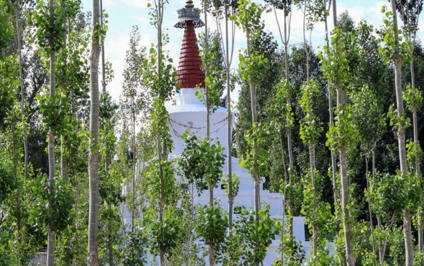 Gomang Boutique Hotel Leh